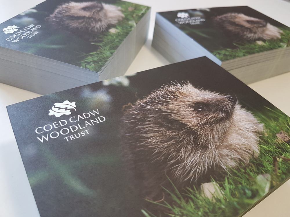 Designworld printed Woodland Trust cards