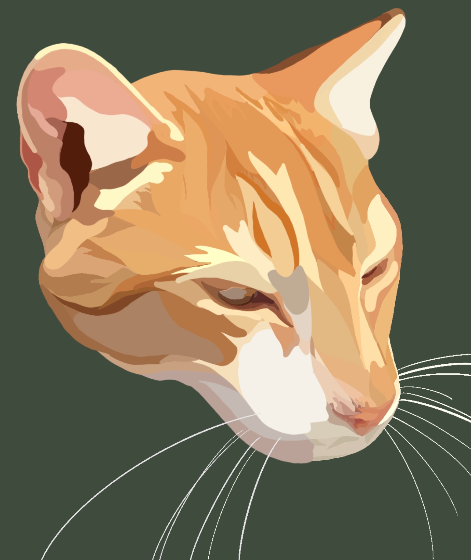 Commissioned artwork of a pet cat called Potato (irrelevant but adorable!)