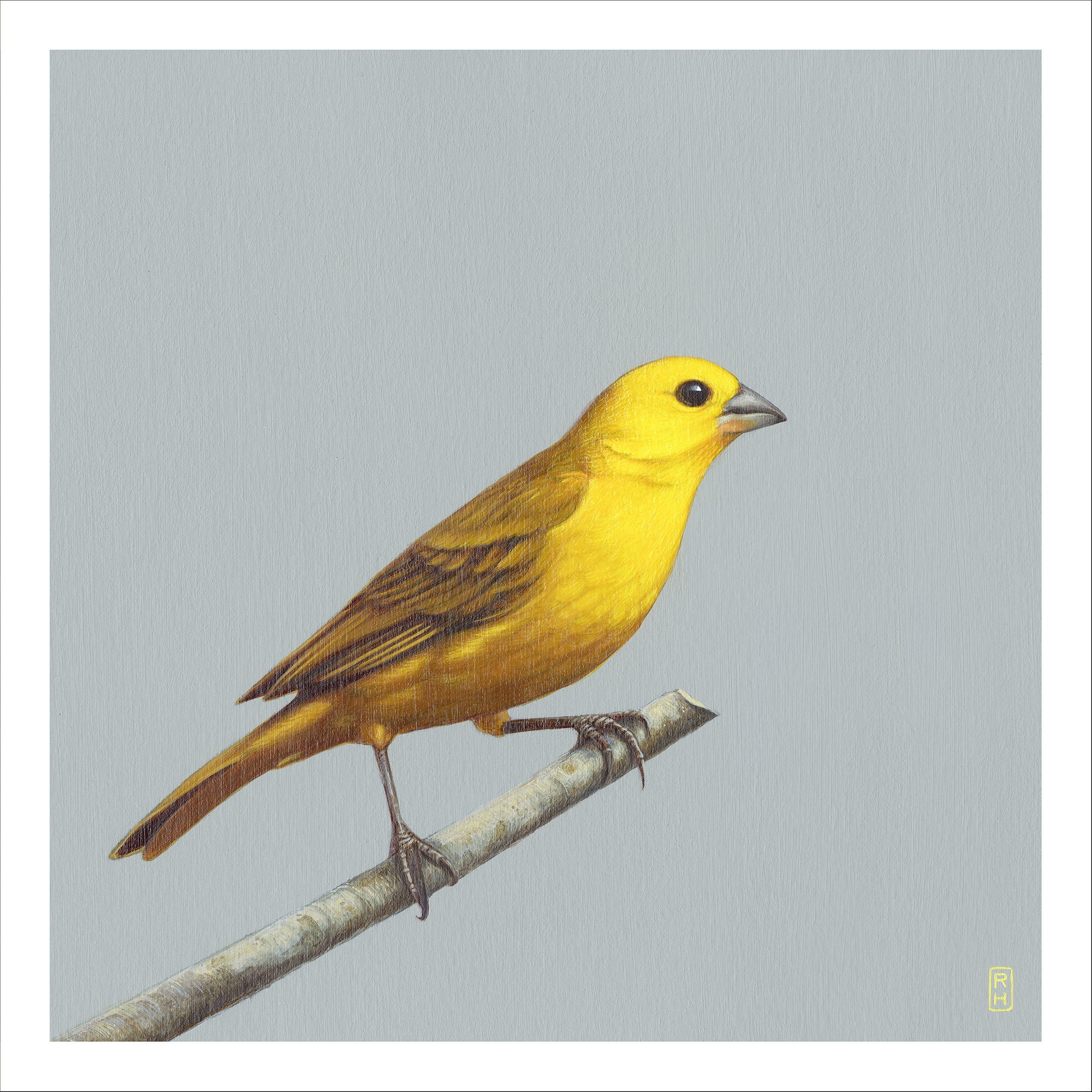 Painting of a canary