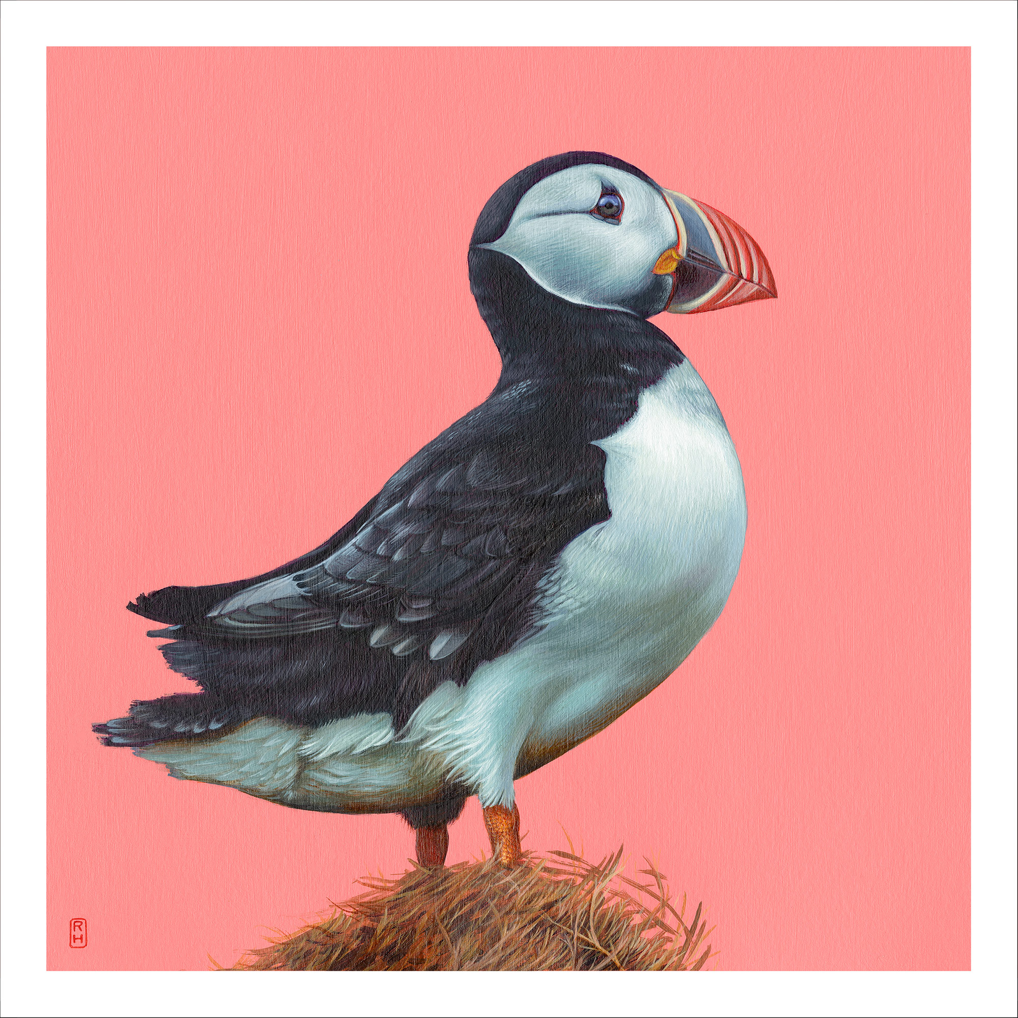 Painting of a puffin