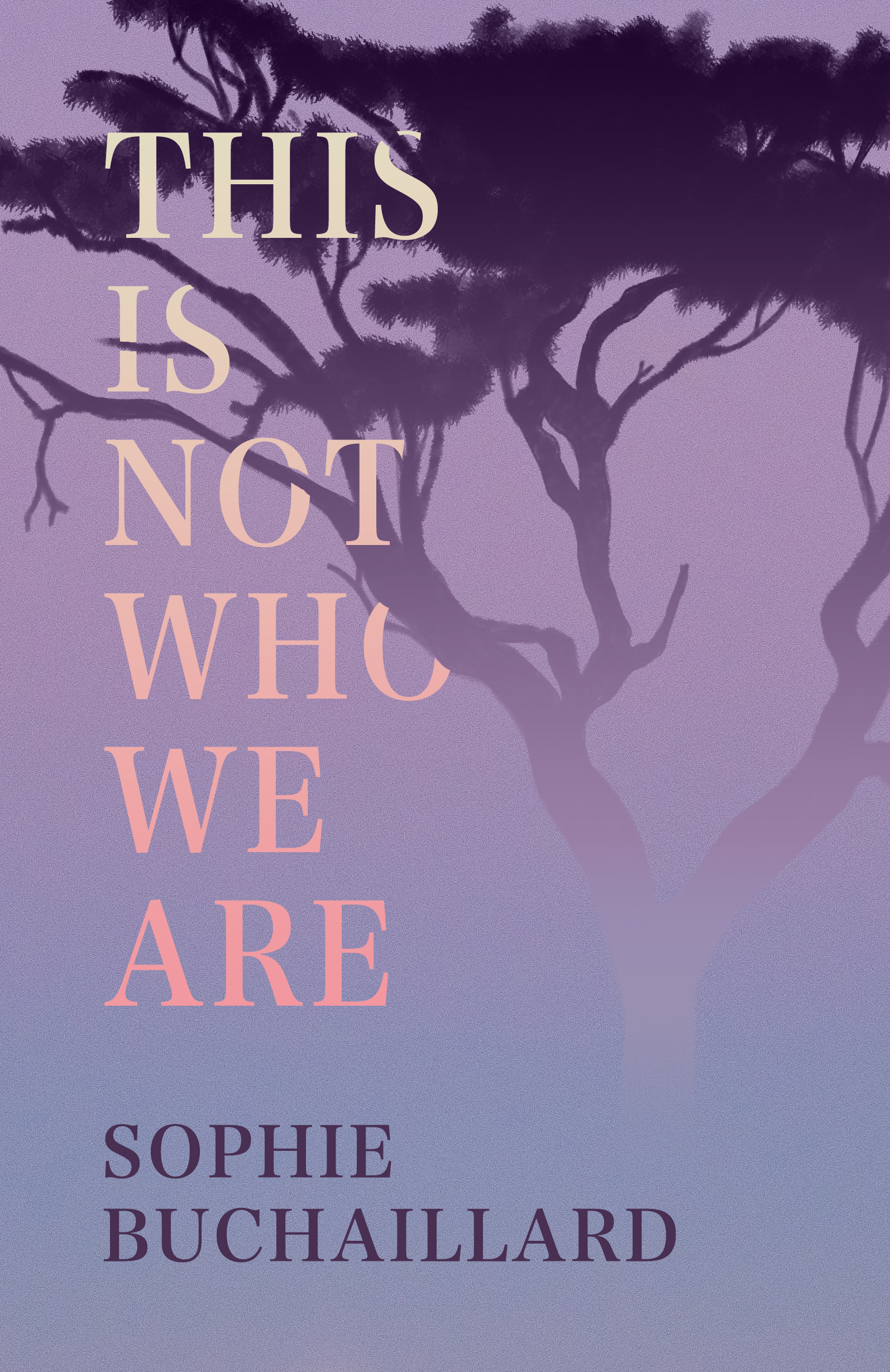 Cover for the novel This Is Not Who We Are