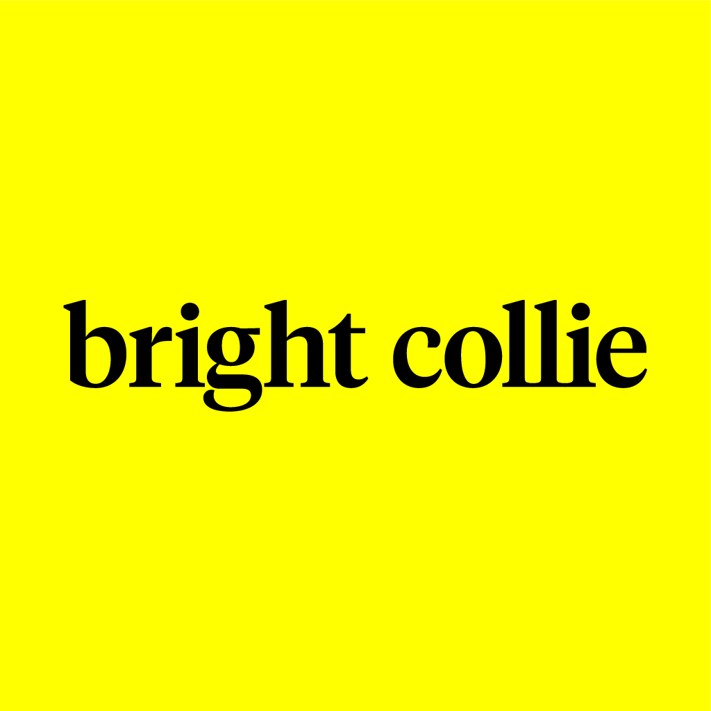 Profile picture for user bright_collie