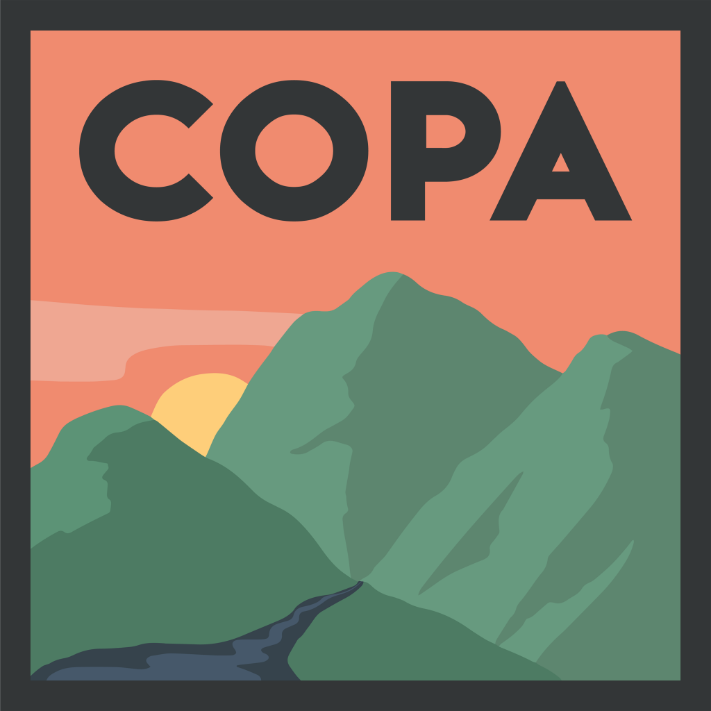 Profile picture for user COPA